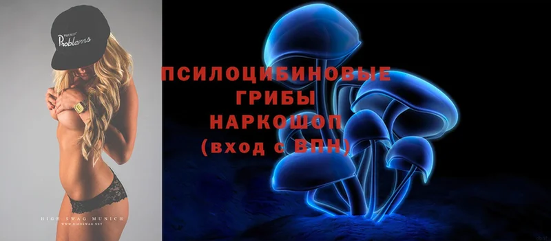 Псилоцибиновые грибы Psilocybine cubensis  Заволжск 